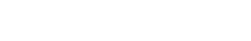 citadel logo