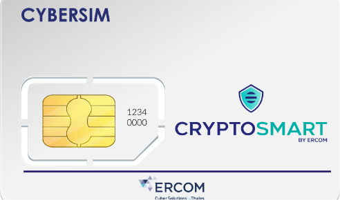 cybersim
