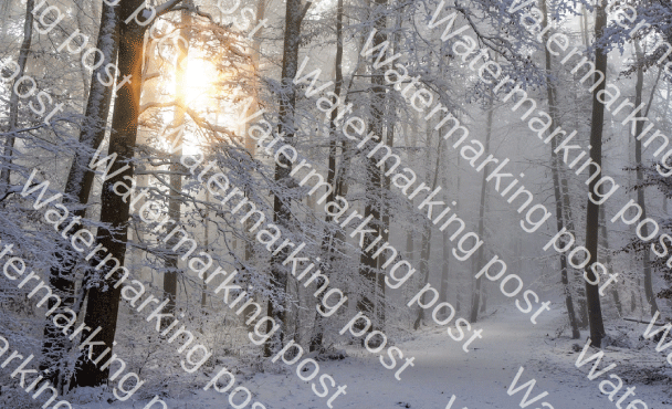 Discover why adding watermarks to your personal documents should not be an option!