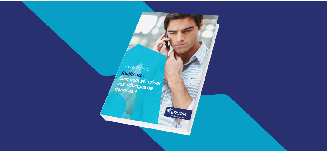 échanges-auditeurs-sécuriser-données