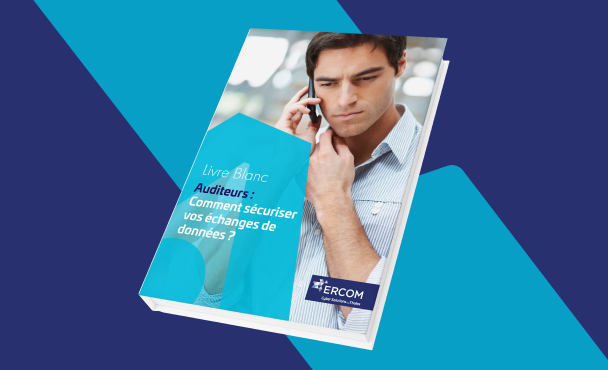 échanges-auditeurs-sécuriser-donnée