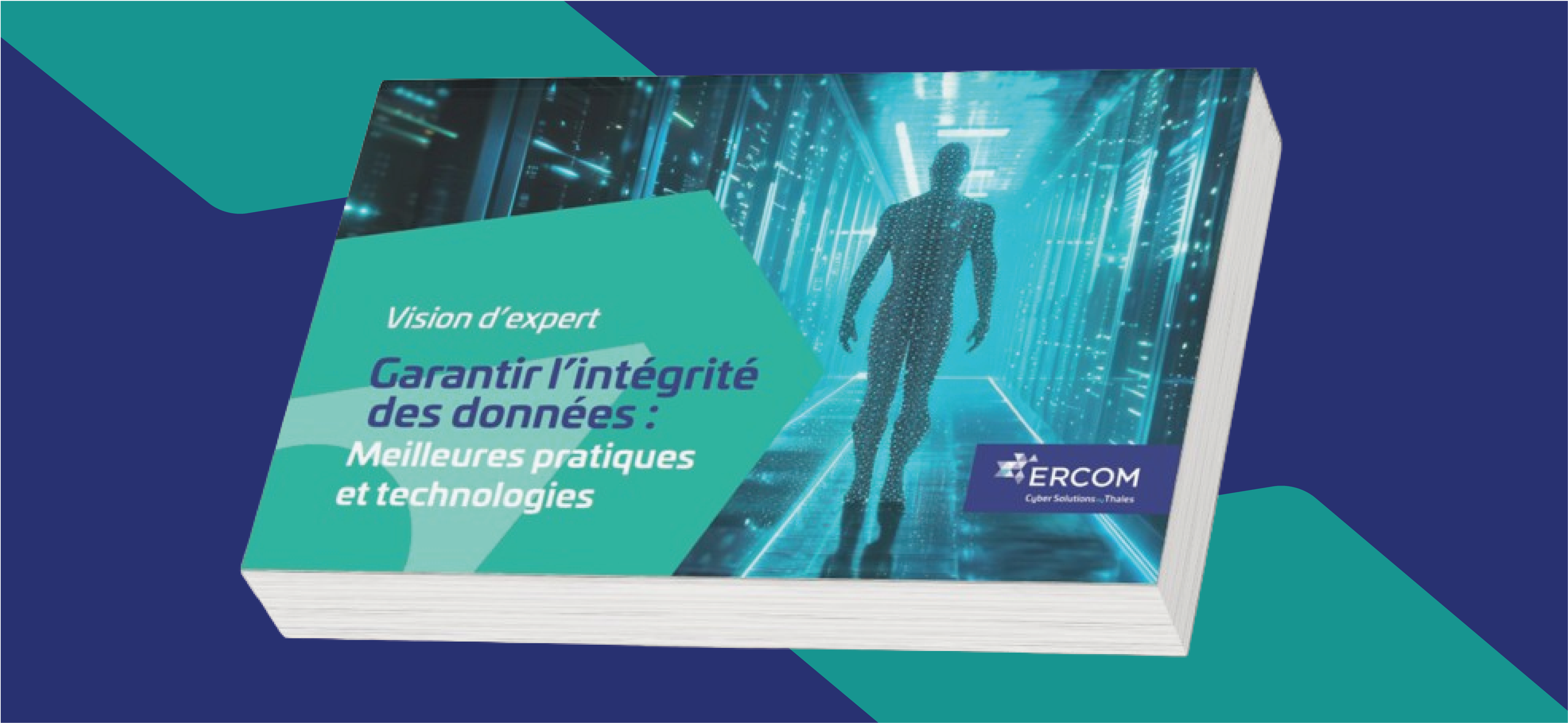 intégrité-données-pratiques