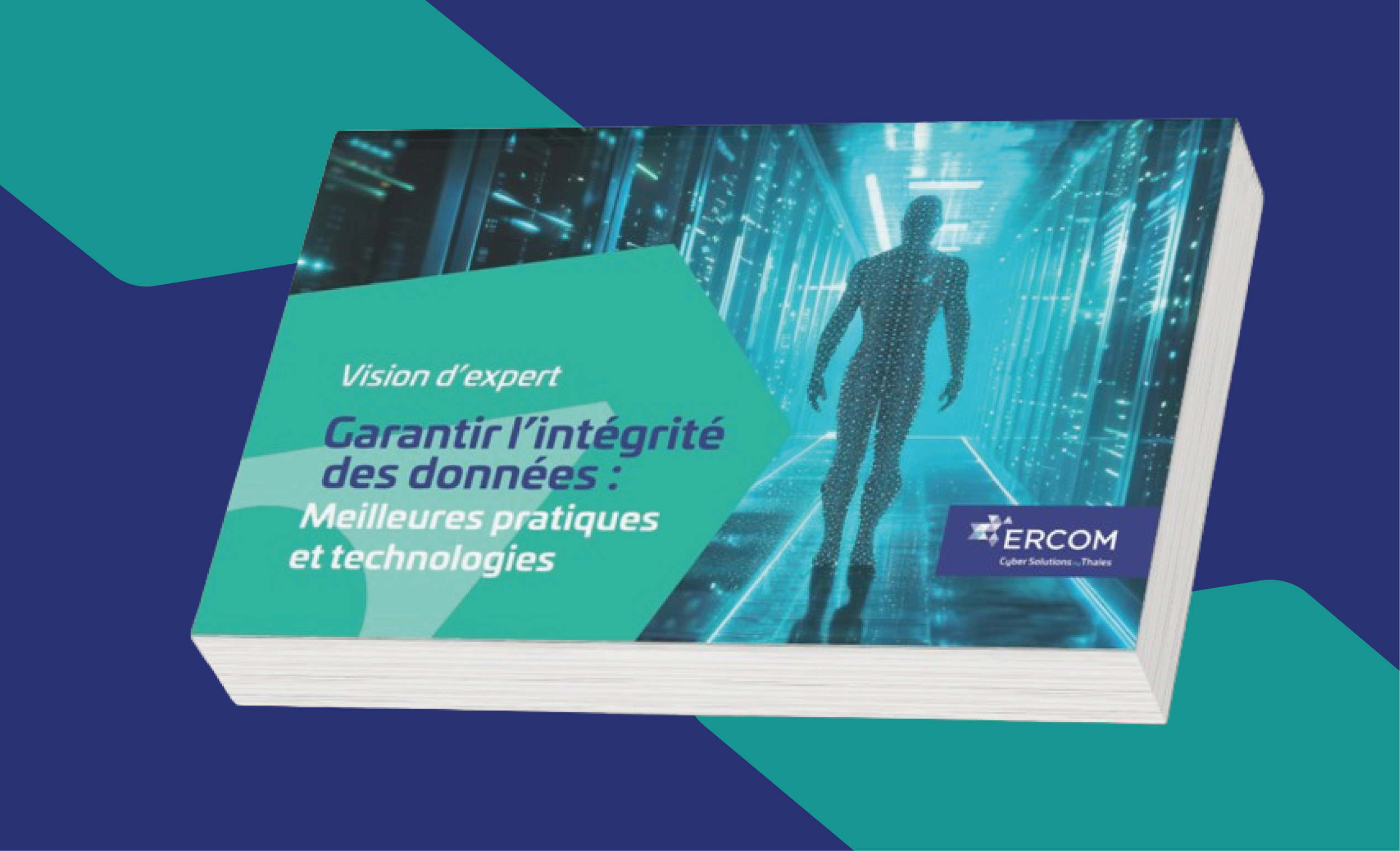 intégrité-pratiques-données