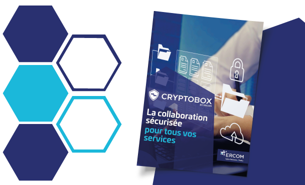 collaboration-cryptobox-securisee