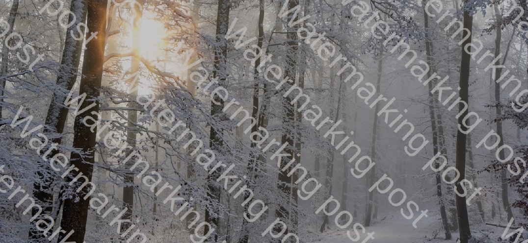 Discover why adding watermarks to your personal documents should not be an option!