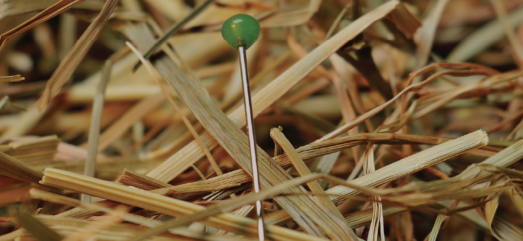 Identify, in a continuous way, your web attack surface exposed on the Internet, using Open-Source Software bg