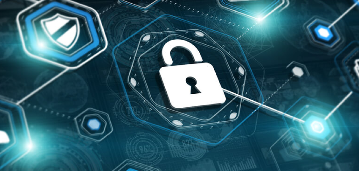 basset-sécurisation-données-raphael