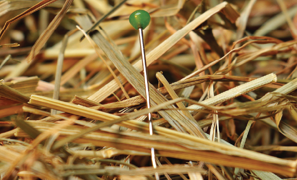 Identify, in a continuous way, your web attack surface exposed on the Internet, using Open-Source Software