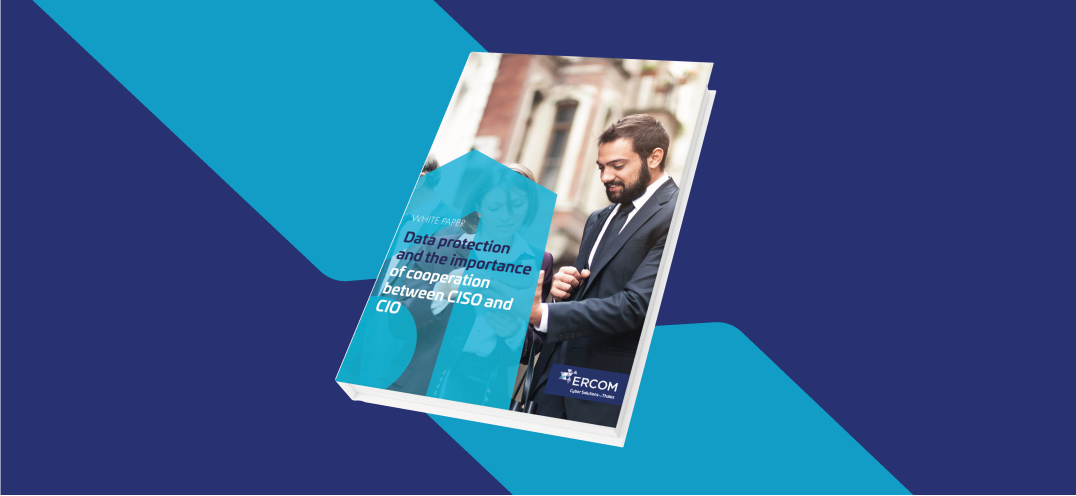 ciso-data-protection-importance bg