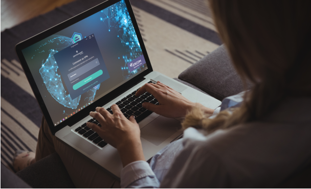 Cryptosmart-connexions-SI-professionnelles