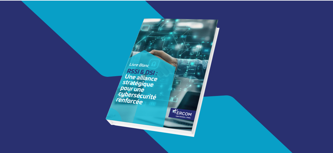 rssi-dsi-alliance-stratégique