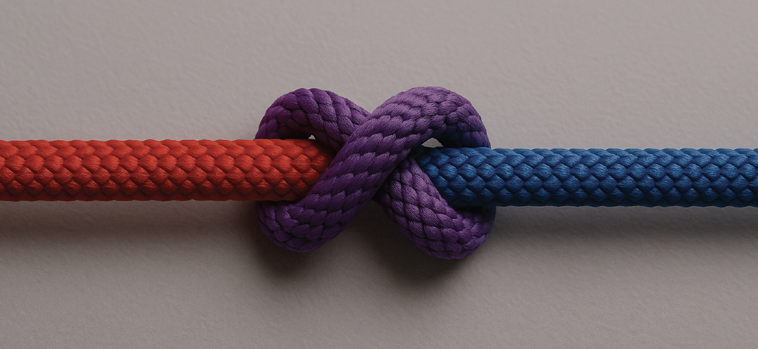 Blue team + Red team = Purple team : une alliance au service de la cybersécurité