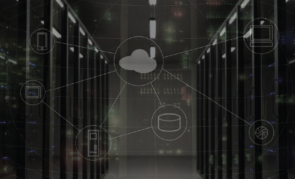 What is the purpose of the Common Vulnerabilities and Exposures (CVE) systems from a security perspective?