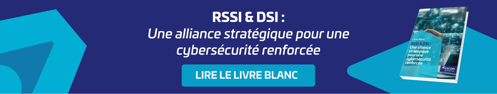 https://infos.ercom.fr/fr/telecharger-lb-rssi-dsi-2025
